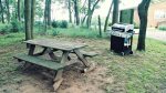 Picnic Table and Gas Grill